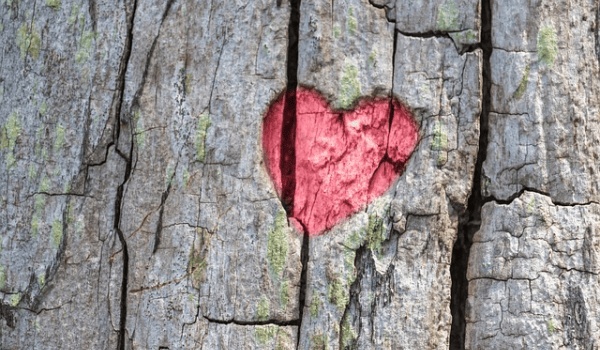 水龍脈的奧秘：究竟是何物？又有何作用？