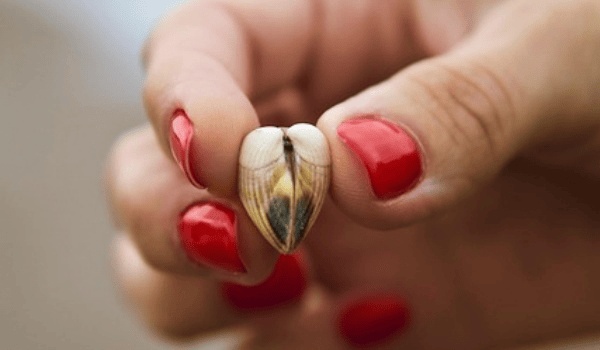 2026年家居風水新趨勢：打造吉祥如意的生活空間