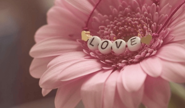 家居風水大揭秘：如何打造理想居住空間