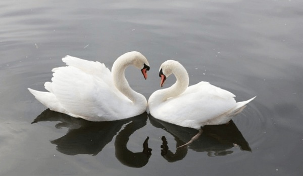 家居風水布局全攻略：打造吉祥如意的居住環境